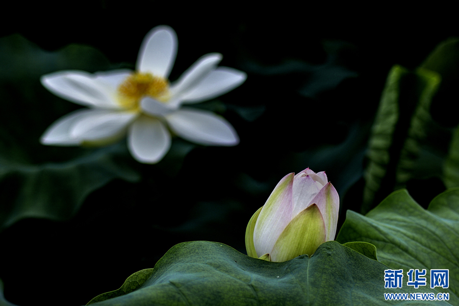 �����^�������r