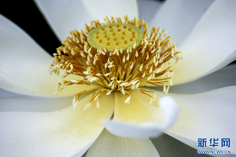 �����^�������r