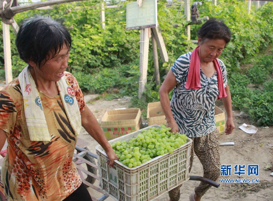 ���σ�(n��i)�S:��ɫ�Nֲ�������ʷ�ؚ