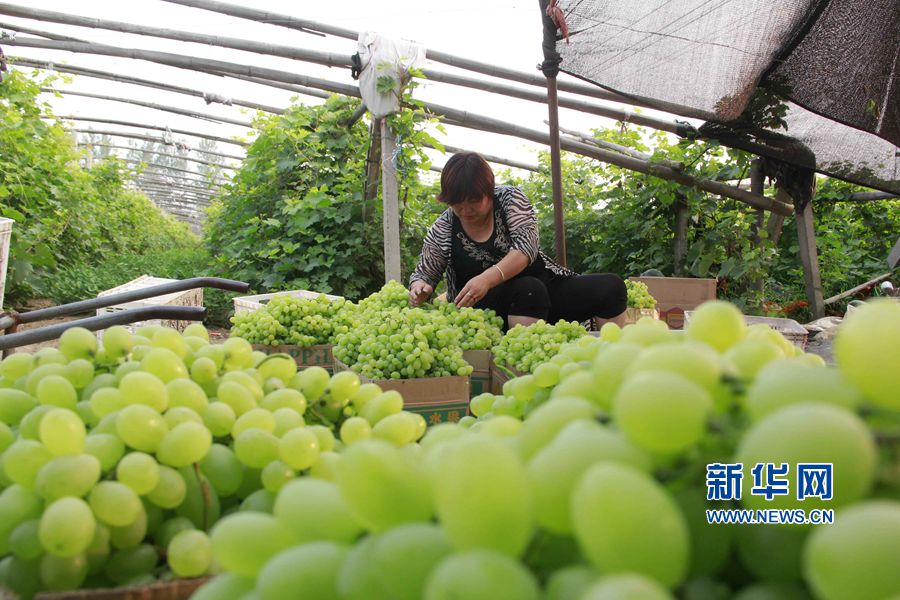 ���σ�(n��i)�S:��ɫ�Nֲ�������ʷ�ؚ