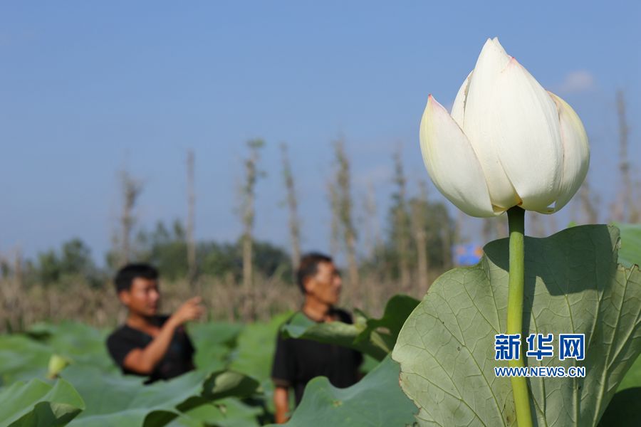 �������(qu��n):���ʷ�ؚ���r(n��ng)Ó��