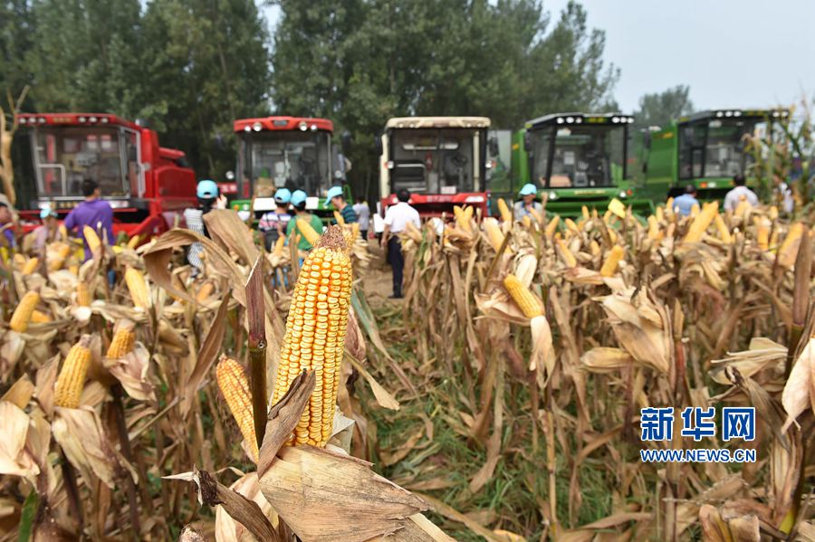 ���(y��ng):�����ո�������Õ�,���^�յ��^�u(m��i)