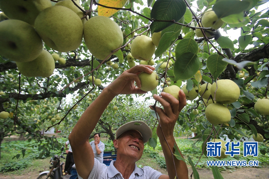 �����_(k��i)��:����h����r(n��ng)Ц