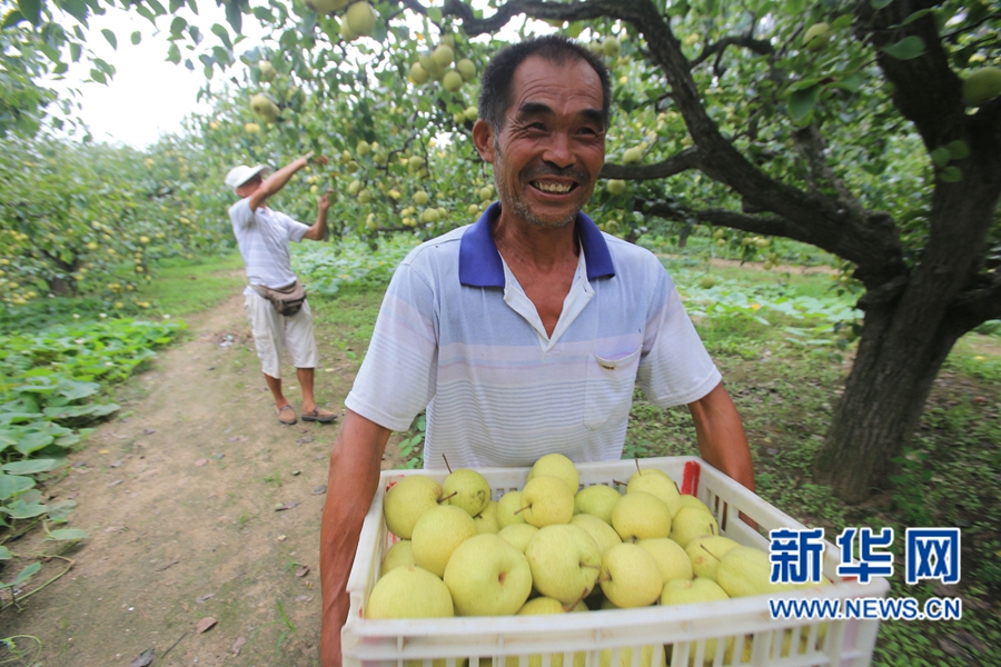 �����_(k��i)��:����h����r(n��ng)Ц