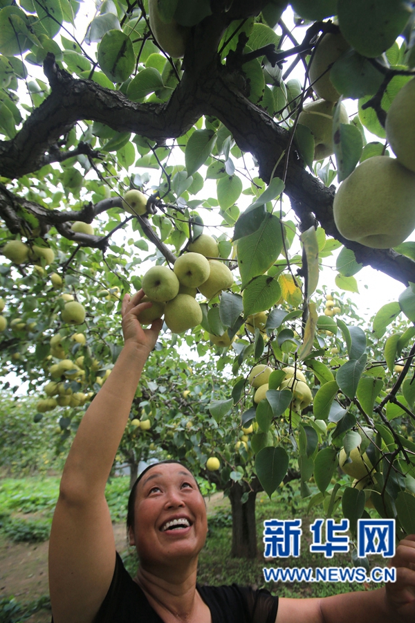 �����_(k��i)��:����h����r(n��ng)Ц