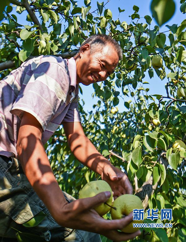 �����Ͻ�:���R(sh��)��ؕ�桱