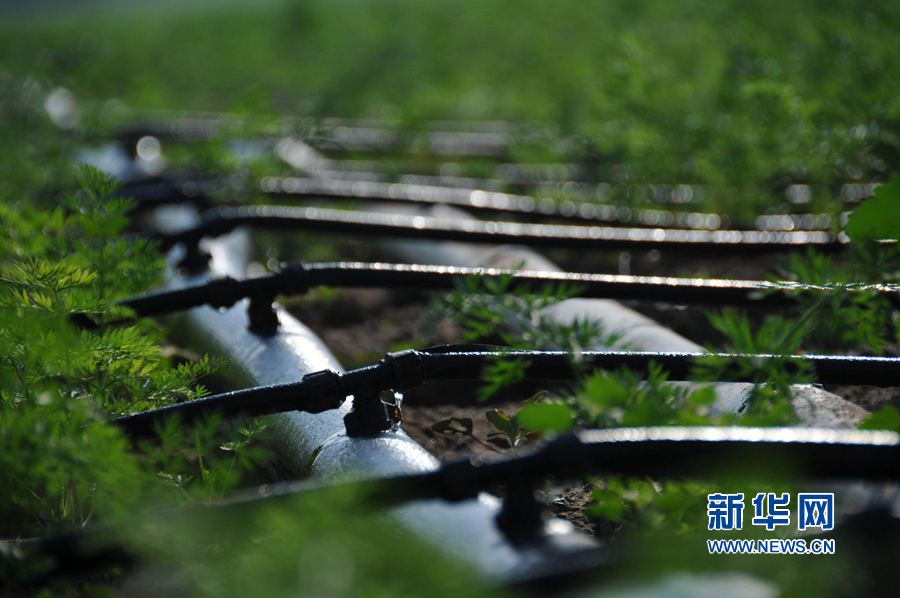 ���σ�(n��i)�S:׌ÿһ��ˮ���l(f��)�]���Ч��