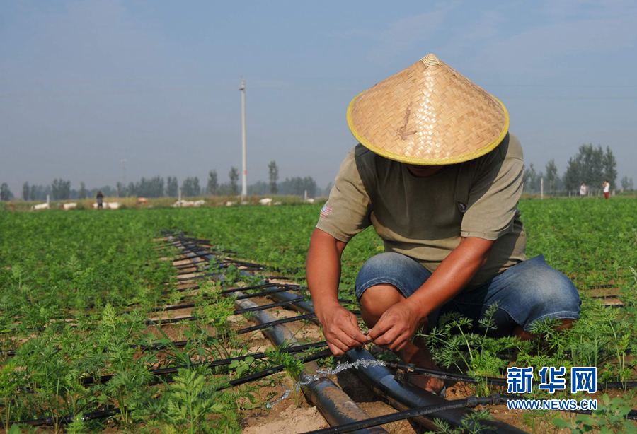 ���σ�(n��i)�S:׌ÿһ��ˮ���l(f��)�]���Ч��