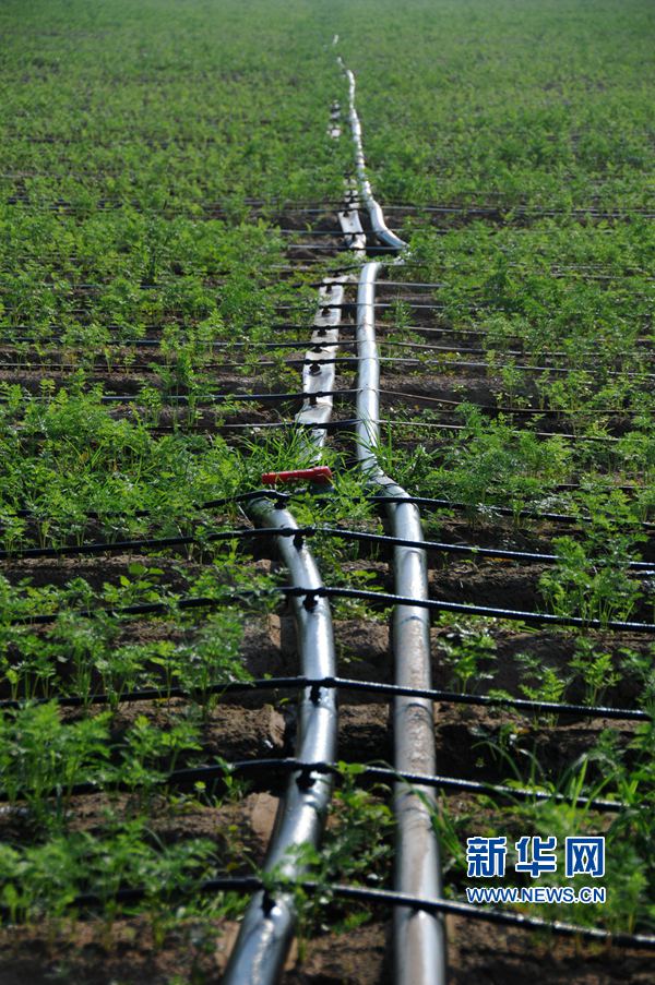 ���σ�(n��i)�S:׌ÿһ��ˮ���l(f��)�]���Ч��