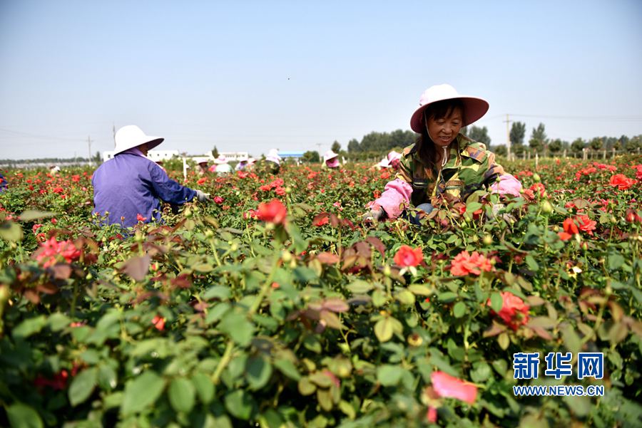 ���:�¼������� ���g����æ