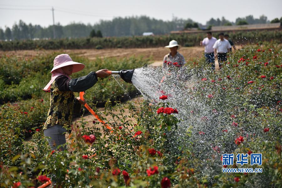 ���:�¼������� ���g����æ