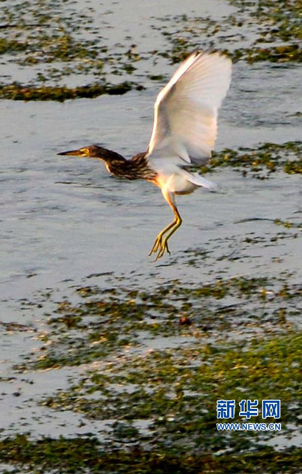 �������:��ˮ�{�� ���C֮��