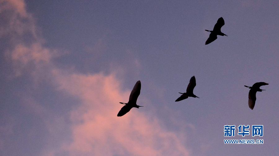 �������:��ˮ�{�� ���C֮��