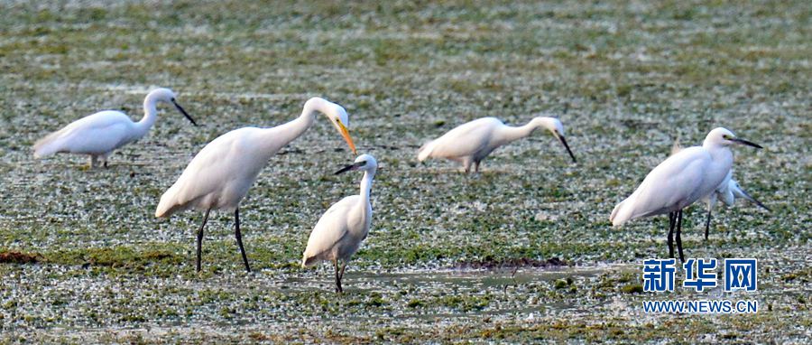 �������:��ˮ�{�� ���C֮��