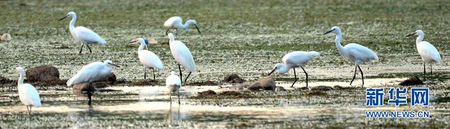 �������:��ˮ�{�� ���C֮��