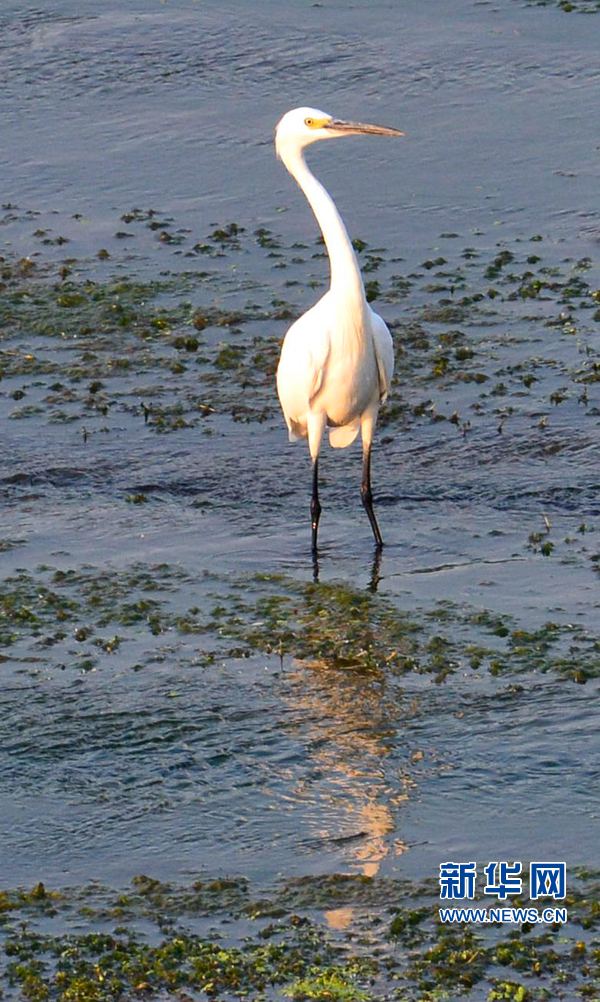 �������:��ˮ�{�� ���C֮��