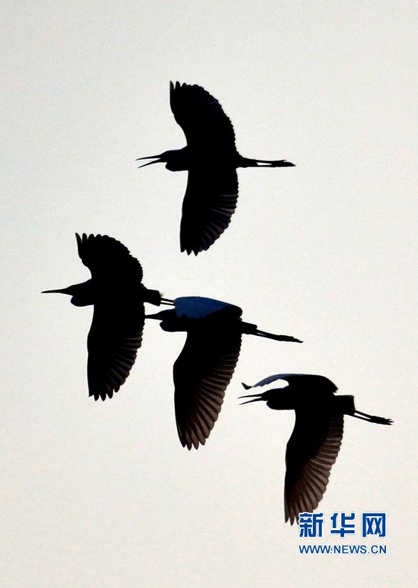 �������:��ˮ�{�� ���C֮��