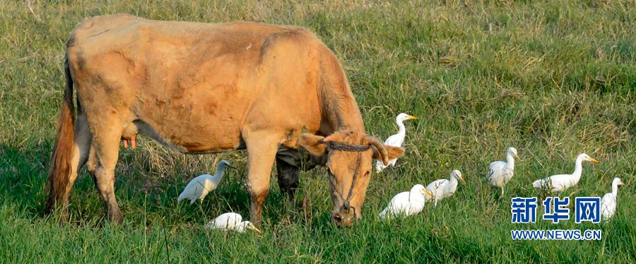 �������:��ˮ�{�� ���C֮��