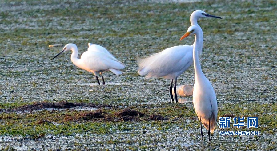 �������:��ˮ�{�� ���C֮��