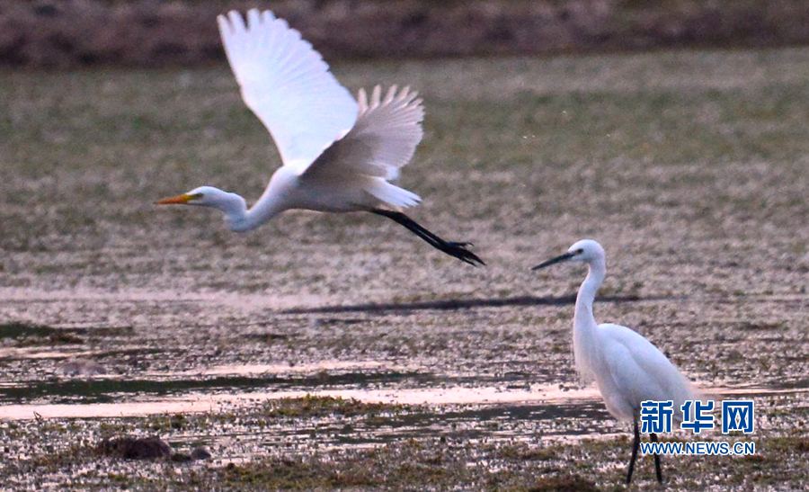 �������:��ˮ�{�� ���C֮��