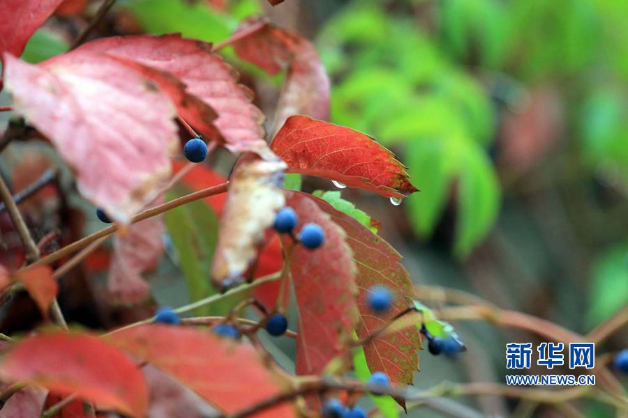 �_��:һ��(ch��ng)�������~�S