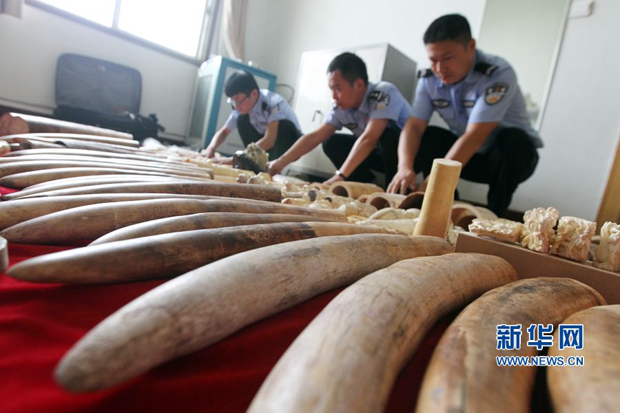 �����S����@������Ʒ207.4����