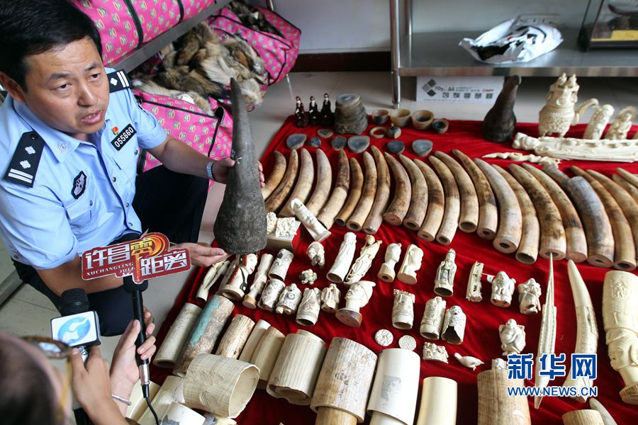 �����S����@������Ʒ207.4����