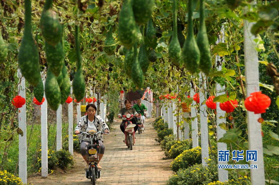 ���σ�(n��i)�S:���l(xi��ng)������������(zh��n)Óؚ