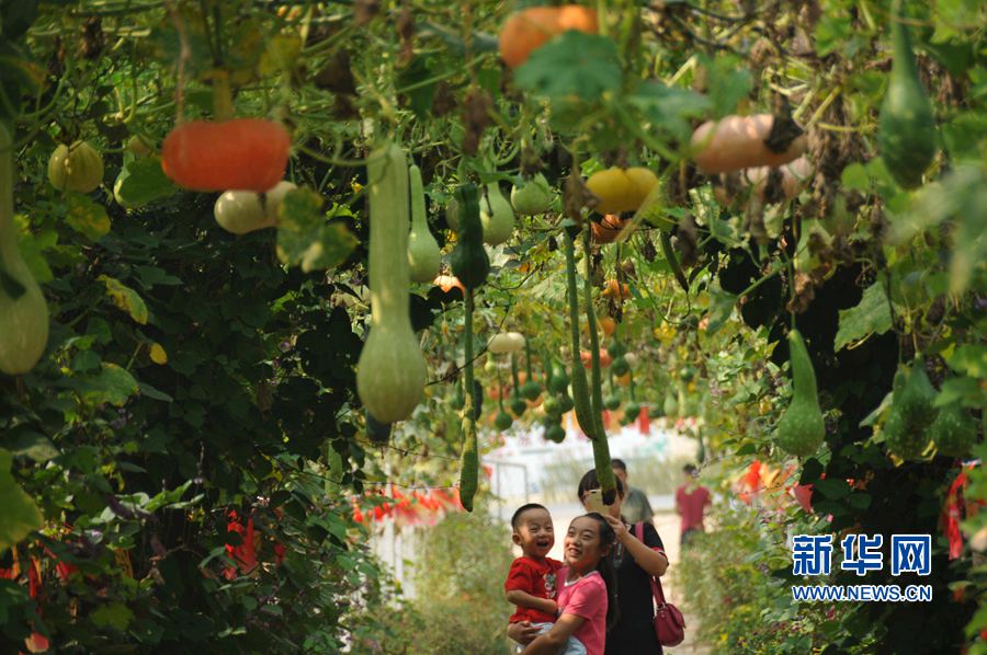 ���σ�(n��i)�S:���l(xi��ng)������������(zh��n)Óؚ