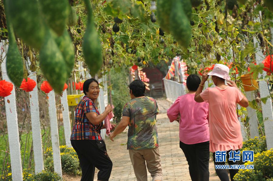 ���σ�(n��i)�S:���l(xi��ng)������������(zh��n)Óؚ