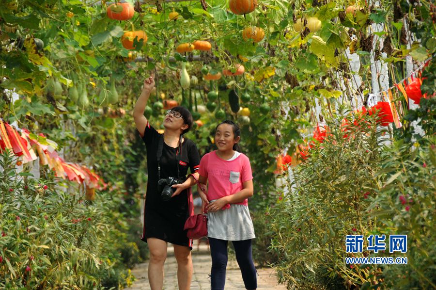 ���σ�(n��i)�S:���l(xi��ng)������������(zh��n)Óؚ