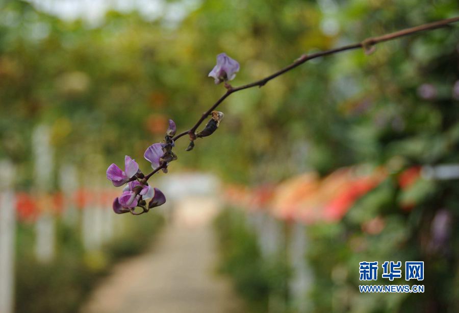 ���σ�(n��i)�S:���l(xi��ng)������������(zh��n)Óؚ