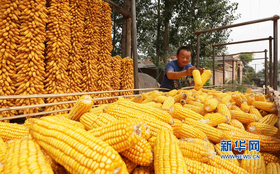 ��������:�r(n��ng)�ҡ����æ