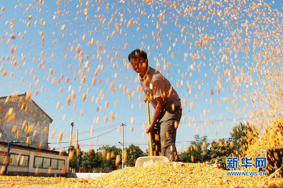 ��������:����Õ���