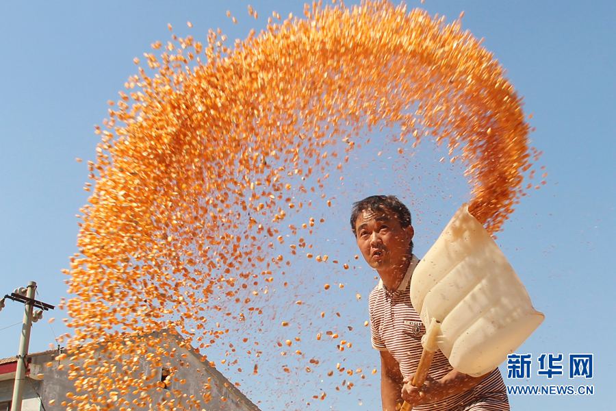 ��������:����Õ���