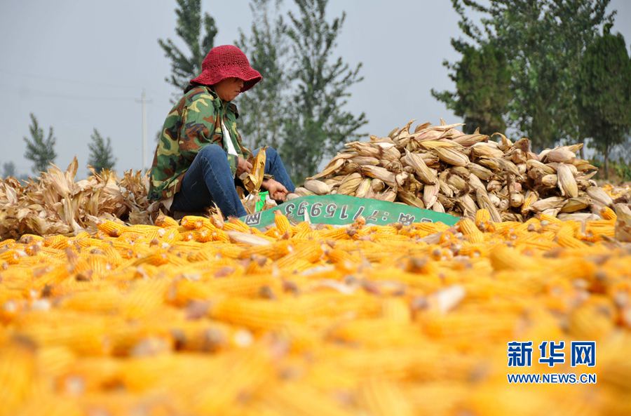 ���σ�(n��i)�S:�r(n��ng)æ�r��(ji��)�����