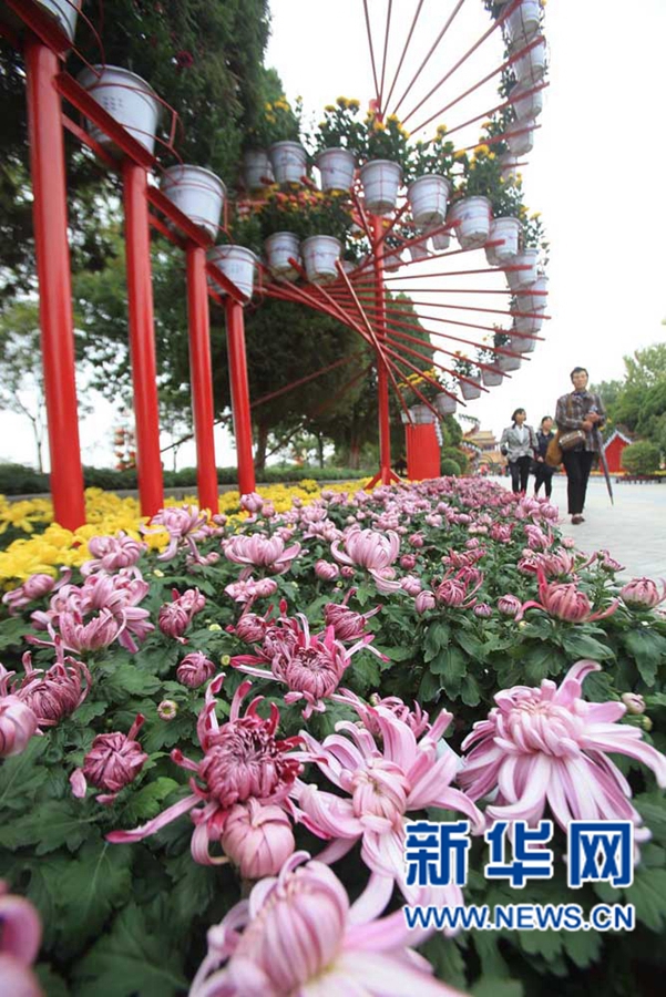 ���F(tu��n)�\�� �����_��