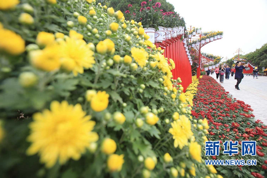 ���F(tu��n)�\�� �����_��