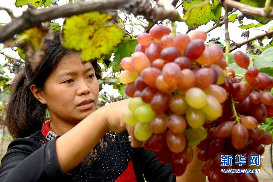 ��������:���M(j��n)�a(ch��n)�I(y��)��ؚ ��(sh��)�F(xi��n)����(zh��n)����