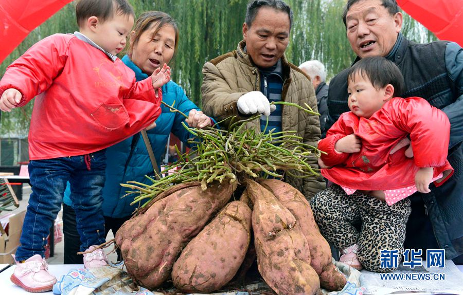 �t�������ޡ�,���ߞ���