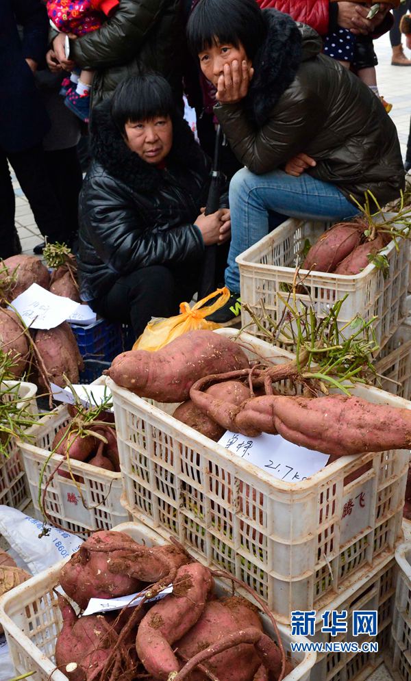 �t�������ޡ�,���ߞ���