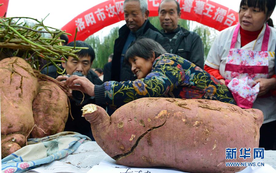 �t�������ޡ�,���ߞ���