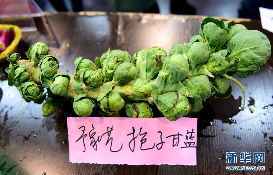 �����r(n��ng)��@ˇ�Ļ���(ji��):�_���ײ˶���ˮ��ζ!