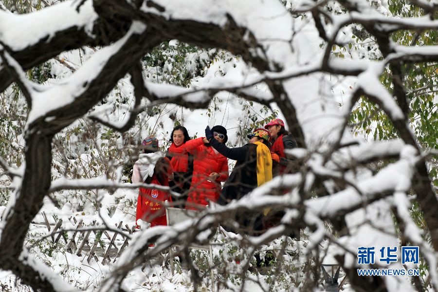 �����S��:ѩ������������