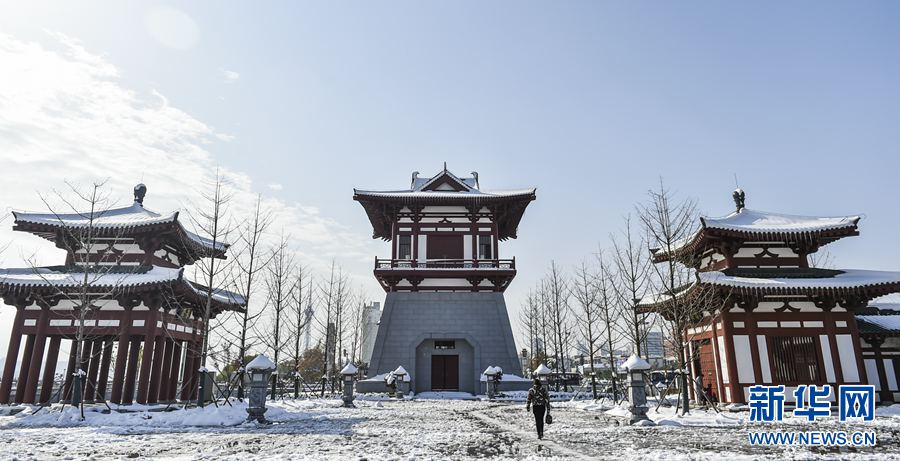 ���(y��ng):�Ŷ�ѩ� ��������