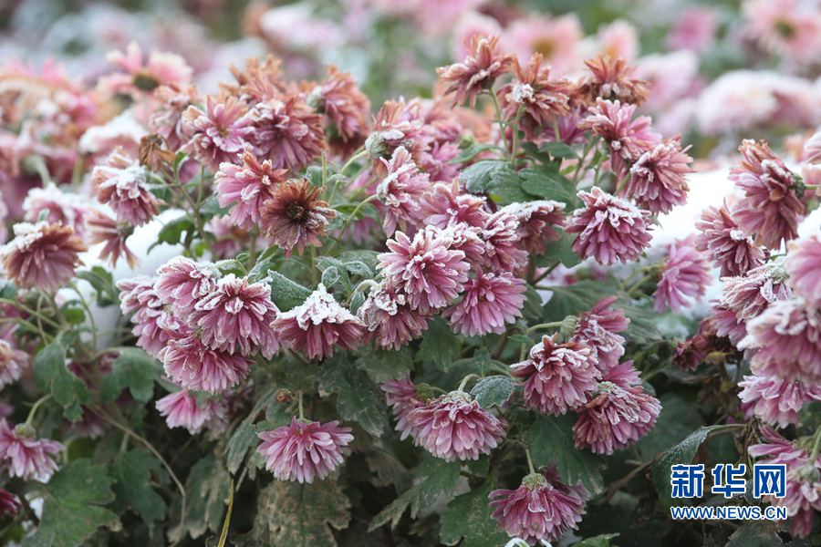 �ų��_(k��i)�� �Fڡ���_(k��i)�䲻��