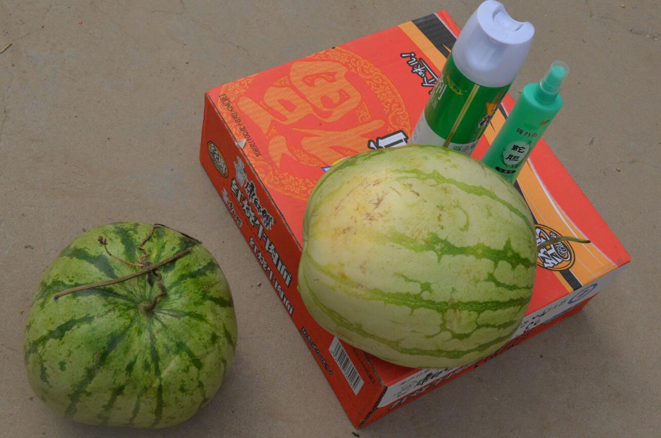 “懷抱初心 不忘鄉(xiāng)村” 炎黃文化&河大志愿者公益扶貧行動