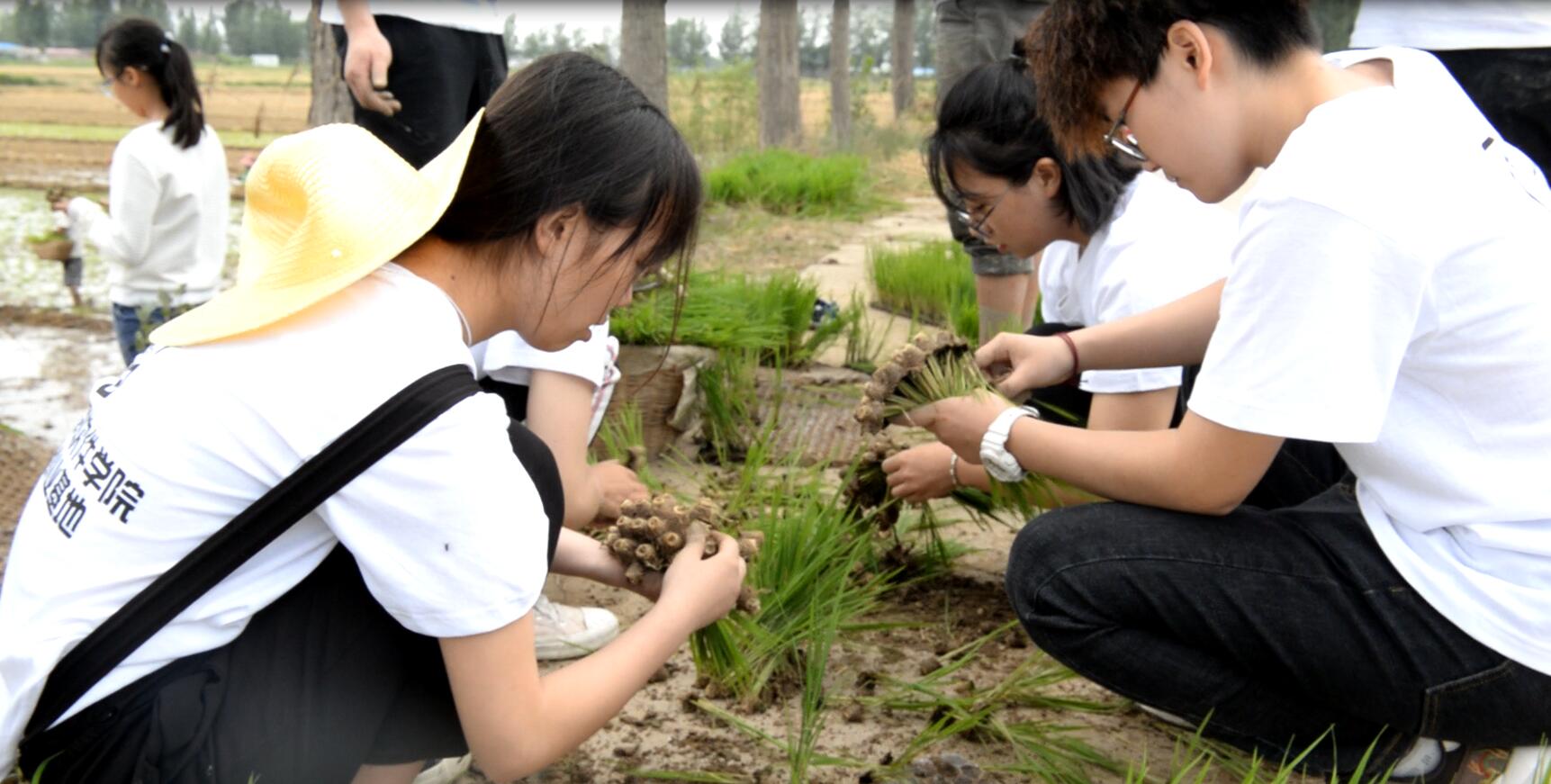 “懷抱初心 不忘鄉(xiāng)村” 炎黃文化&河大志愿者公益扶貧行動