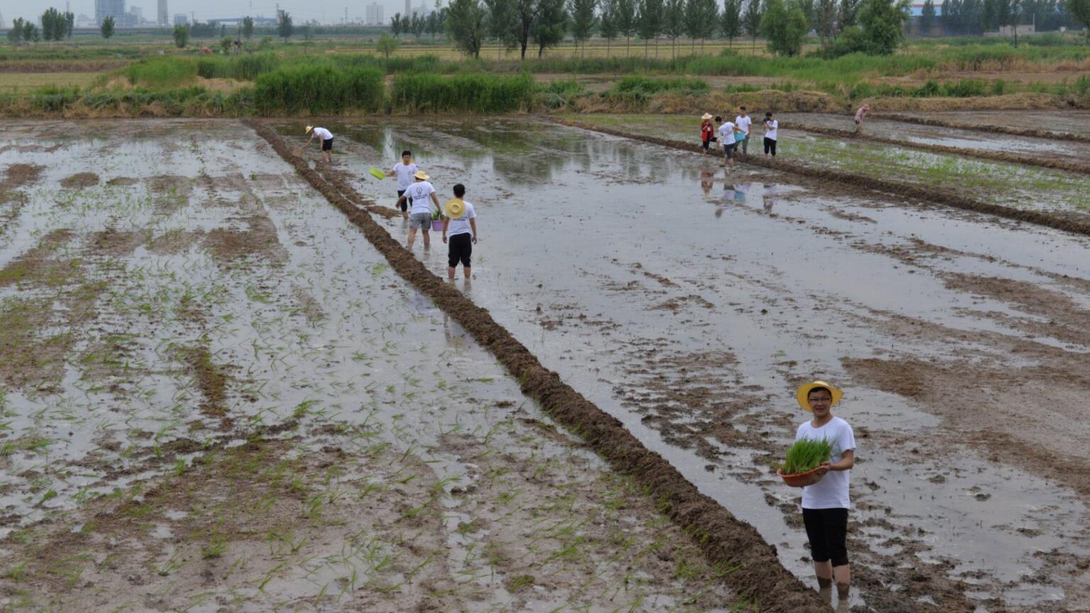 “懷抱初心 不忘鄉(xiāng)村” 炎黃文化&河大志愿者公益扶貧行動