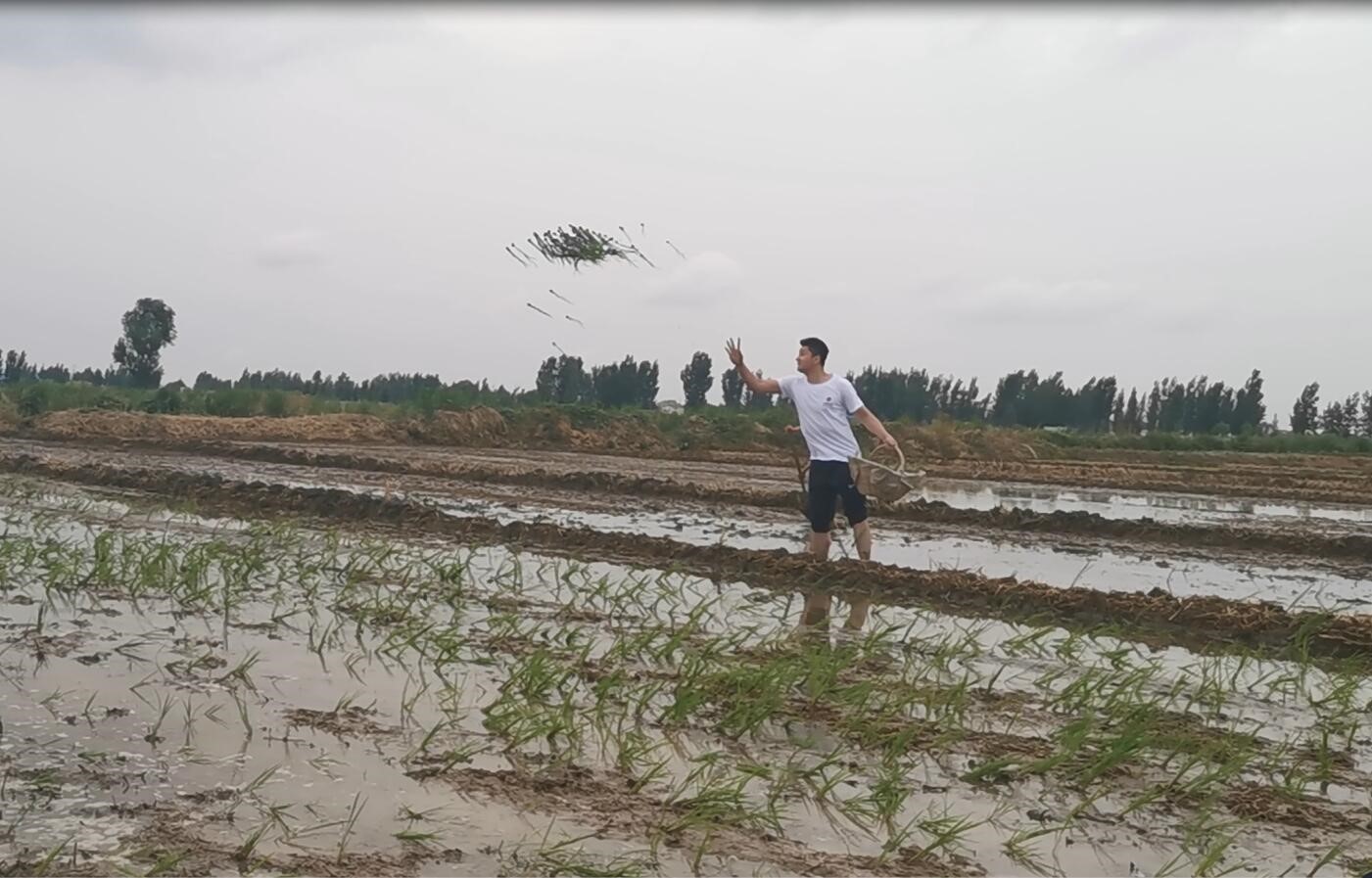 “懷抱初心 不忘鄉(xiāng)村” 炎黃文化&河大志愿者公益扶貧行動